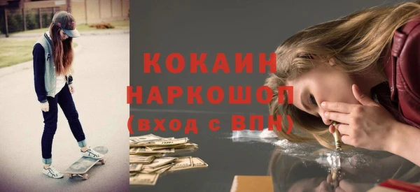 шишки Балахна