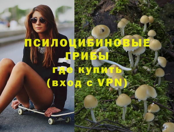 шишки Балахна