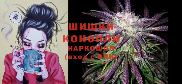 шишки Балахна