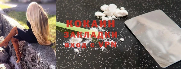 шишки Балахна