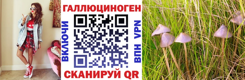 как найти наркотики МЕГА tor сайты даркнета Telegram Нюрба Галлюциногенные грибы Cubensis